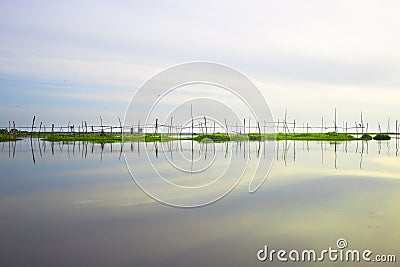 Reflection wood and green with sky to river Stock Photo