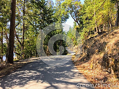 A beautiful remote back country road with no cars on it. Surrounded by forest and trees. Stock Photo