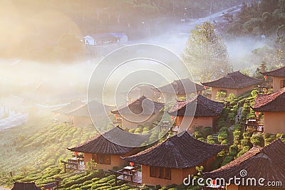 Beautiful resort and vallage is Chinese style with Tea Plantation in mist and sunrise shining on the mountain at Ban Rak Thai, Mae Stock Photo