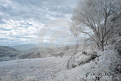 Beautiful rice terraces in Pa Bong Piang Stock Photo