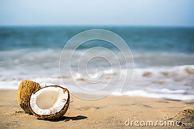 Beautiful ripe coconut the lake broken down into 2 half lies on a white sand beach Stock Photo