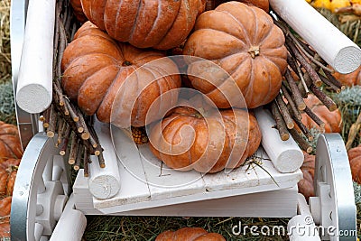 Beautiful ripe pumpkins in a cart. Harvest Festival. Collective farmers autumn harvest. Stock Photo