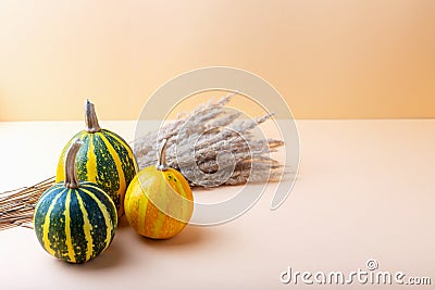 Beautiful ripe pumpkins and dry grass on beige background Stock Photo