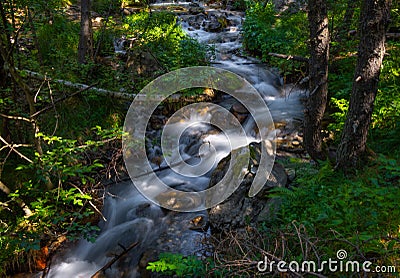 Beautiful river falling slowly down rive letting the sunlight in between the leaves Stock Photo