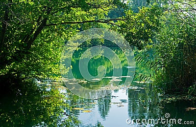 Beautiful river scene, Croatia Stock Photo