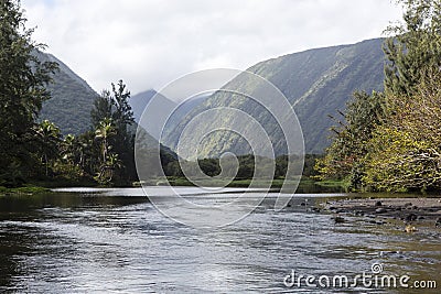 Beautiful river - waipio valley, hawaii Stock Photo