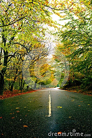 Beautiful road Stock Photo