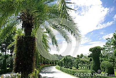 Beautiful road with trees Stock Photo