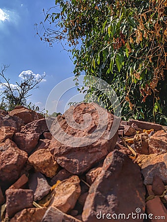 Beautiful rocks hiding Stock Photo