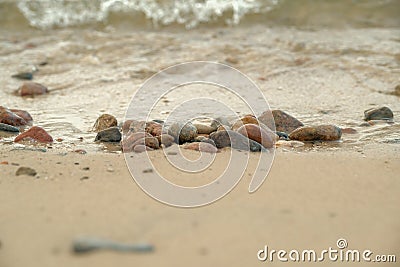 Beautiful rocky sea shore with driftwood trees trunks at sunrise or sunset. Baltic sea shore Stock Photo