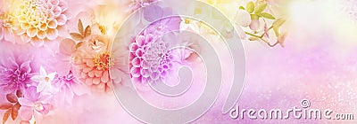 Beautiful romance dahlia, roses and orchid flowers border in colorful glitter background for header or banner Stock Photo