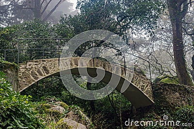 Beautiful romantic stone bridge in fairy forest Pena palace Stock Photo