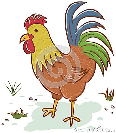 Beautiful rooster character Vector Illustration