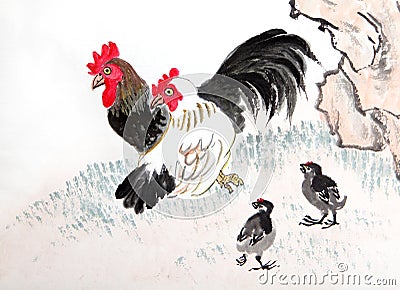 Beautiful Rooster Stock Photo