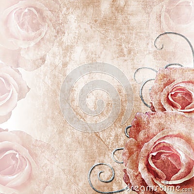 Beautiful Roses Background ( 1 of set) Stock Photo