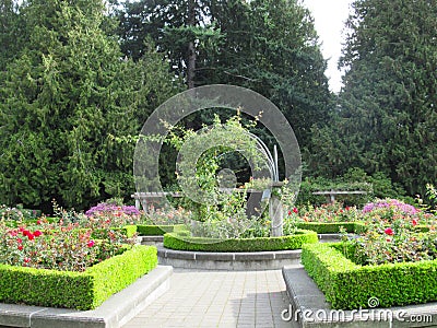 Beautiful Roses Flowers At The Vancouver Park Rose Garden In September 2019 Stock Photo