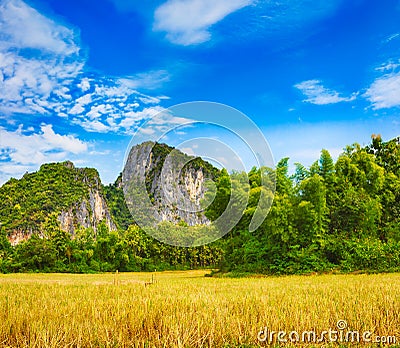 Beautiful rural landscape. Luang Prabang. Laos. Stock Photo