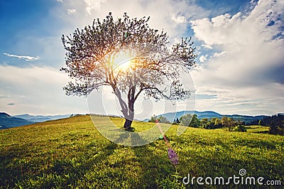 Beautiful rural landscape with old wooden fence, mountain view on horizon and blue cloudy sky. natural summer background Stock Photo