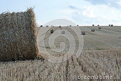 Beautiful rural Ukrainian landscape. Straw ball on the field and blue sky with clouds. Harvest Stock Photo