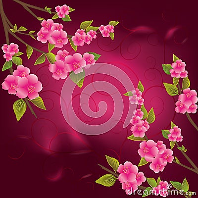 Beautiful sakura background Vector Illustration