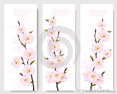 Beautiful sakura branch banners. Vector Illustration