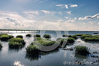 Wide angle landscape of saltwater marsh in southern Georgia Stock Photo