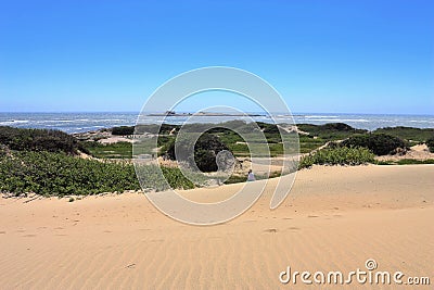 Sand Dunes on Pacific Coast, Ano Nuevo State Park, Big Sur, California Stock Photo