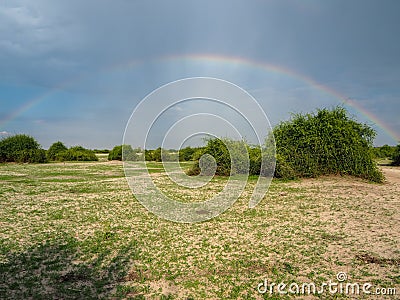 Beautiful scene of double rainbow on blue sky copy space background above natural sand, grass and tree on savanna plain Stock Photo