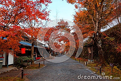 Beautiful scenery of an archway of fiery maple trees along a gravel path with souvenir shops at the entrance to Sanzen-In Editorial Stock Photo
