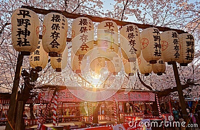 Night view of the famous Five-Story Pagoda of Toji Temple and blossoms of a giant sakura tree in KyotoBeautiful scenery of Cherry Editorial Stock Photo