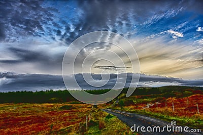 Beautiful scenery of the country road and heather meadows over blue cloudy sky Stock Photo