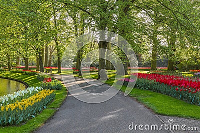 Beautiful scenery in Keukenhof royal flower garden in the Netherlands with beautiful flowerbeds and no people Stock Photo