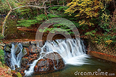 Beautiful scenery of a lovely waterfall tumbling down a rocky stream with colorful autumn foliage Stock Photo