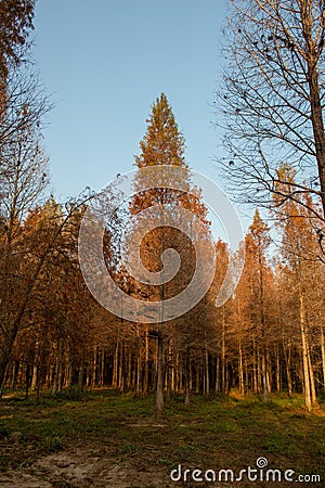 The beautiful scenery of Manshan reflects the clear sky! Stock Photo