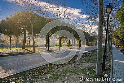 Beautiful scenery. The path of the city park. Concept of healthy, metropolitan, sport and fun life Stock Photo
