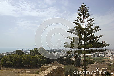 Beautiful scenery of the ruins of Carthage. Stock Photo