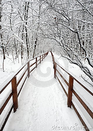 Beautiful scenery with a snow-covered path with wooden fence in the forest among the trees after a snowfall on a cloudy winter day Stock Photo