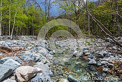 Beautiful scenic at Kamikochi Stock Photo