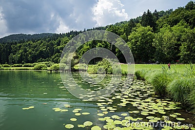 Beautiful scenic lake podpesko in slovenia Editorial Stock Photo