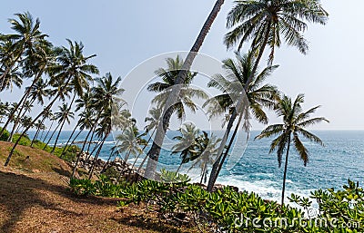 beautiful scenic view of coastline with palm trees, sri lanka, mirissa Stock Photo