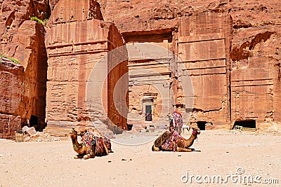 Two Camels In Front of Ancient Nabataean Ruined Rock-Cut Tomb in Petra, Jordan Stock Photo