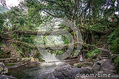 The beautiful scenic waterfall in front of famous root bridge in meghalaya Editorial Stock Photo