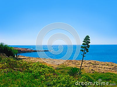 Beautiful sea coast Stock Photo
