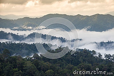Beautiful sea fog at Kaeng Krachan National Park in Thailand Stock Photo