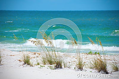 Beautiful sea oats along aqua colored ocean shoreline with waves Stock Photo