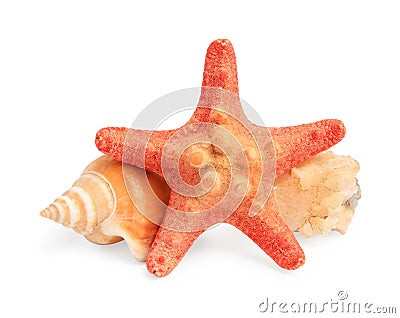Beautiful sea star, stone and seashell isolated on white Stock Photo