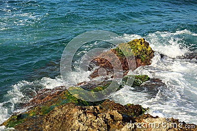 Beautiful sea wave background with green rocky shore and foam. C Stock Photo