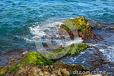 Beautiful sea wave background with green rocky shore and foam. C Stock Photo