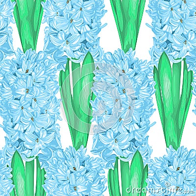 Beautiful seamless background with hyacinth. Vector Illustration