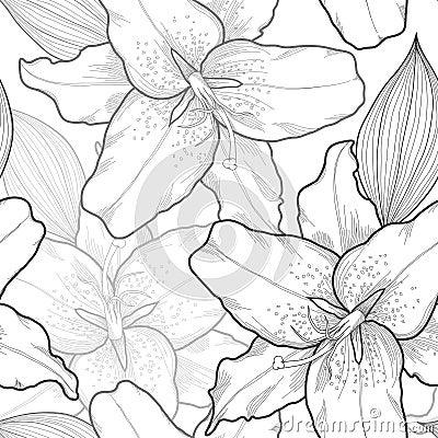 Beautiful seamless black-and-white background with lilies, hand-drawn. Vector Illustration
